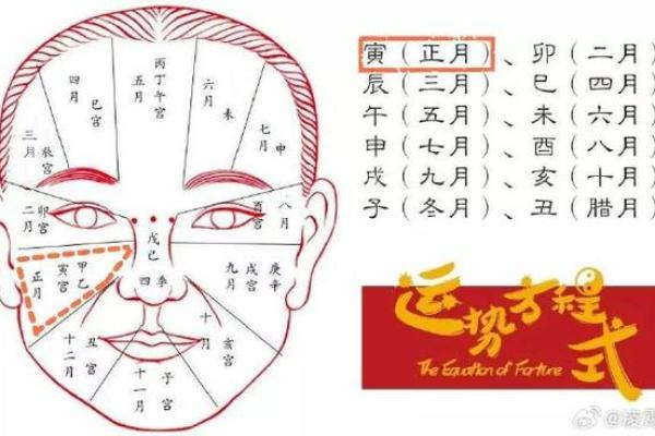 面部上的胎记算命分析
