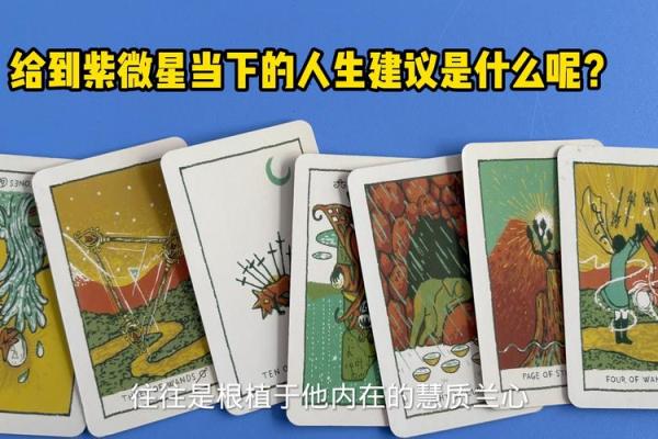梦到紫薇星是什么意思