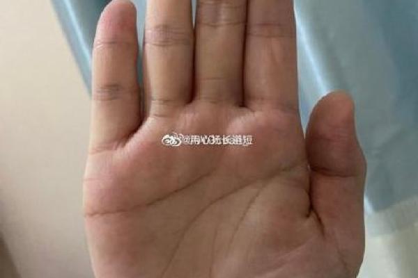 八字算命术和手相面相哪个更准确