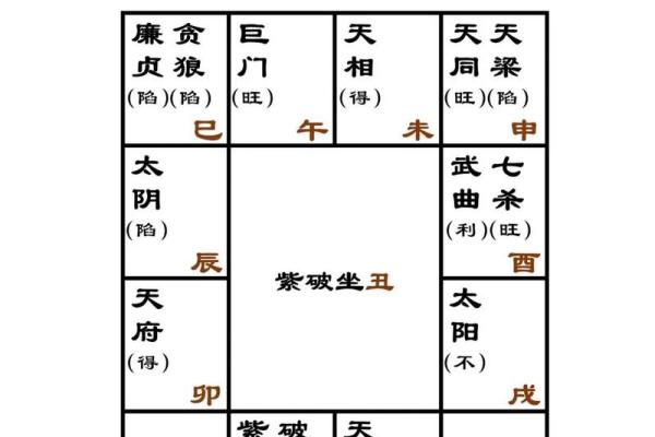 紫薇斗数廉贪巳亥二婚怎么样