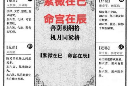 紫薇斗数权忌科