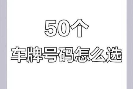 八字选车牌