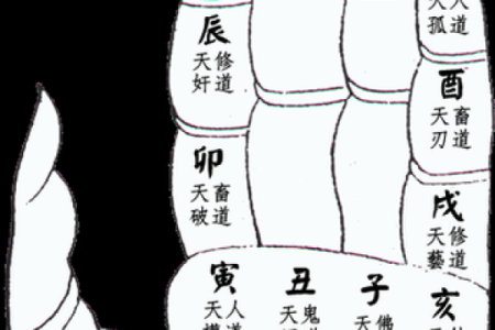 手掌印算命