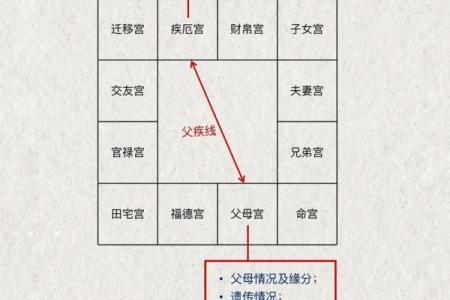 算命紫薇斗数免费算命