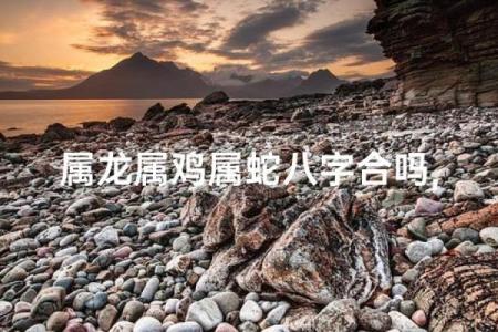 八字合婚属蛇的女人和属蛇男能结婚吗 有没有姻缘