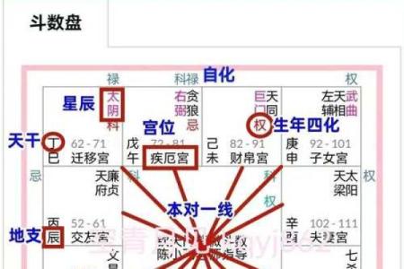 紫薇斗数排盘步骤