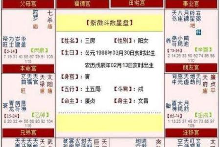 紫薇斗数子女宫巨门化忌