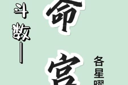 紫微斗数之各星曜所主行业：武曲星