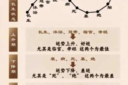 紫微斗数诸星落命宫之：长生十二神详解