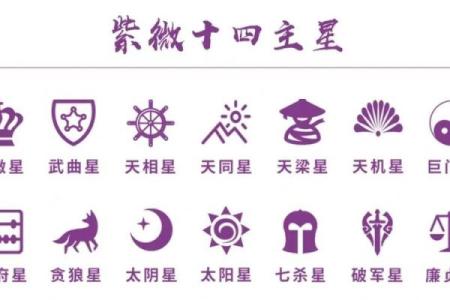 紫微斗数之各星曜所主行业：讨钱