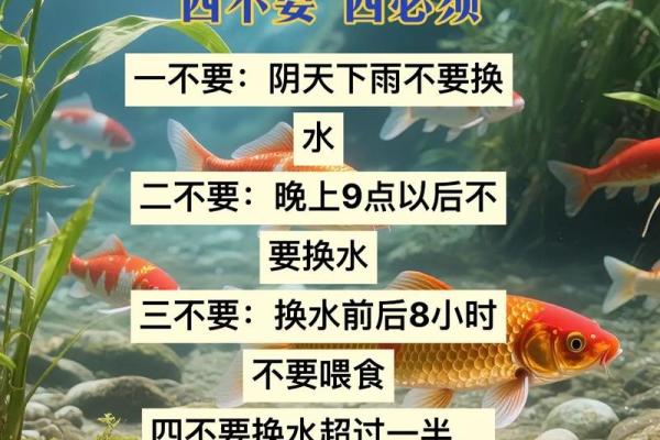 养鱼风水讲究需要注意哪些方面呢