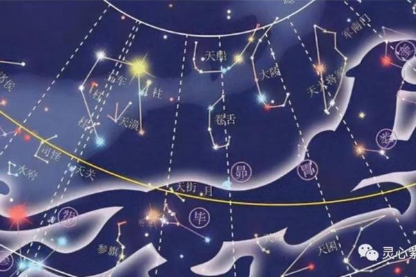紫薇斗数寿命的星星