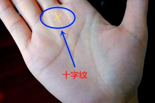 图解-智慧线上有十字纹算命