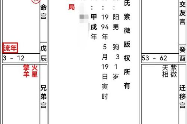 算命中星神是什么命格
