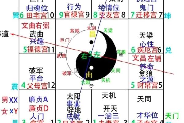 紫薇斗数与八字信息相通