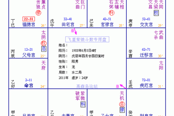 紫薇斗数里在哪里可以看怎么看三婚女人