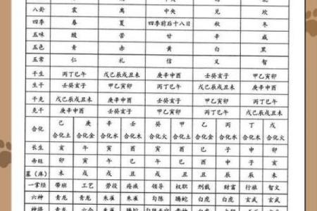 探索八字命理的奥秘