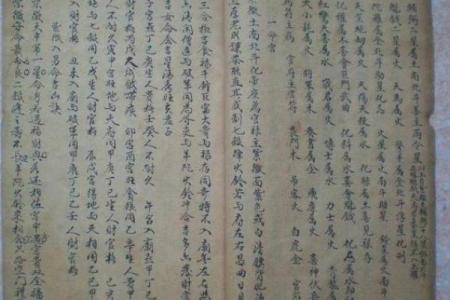 紫薇斗数斗君的意义