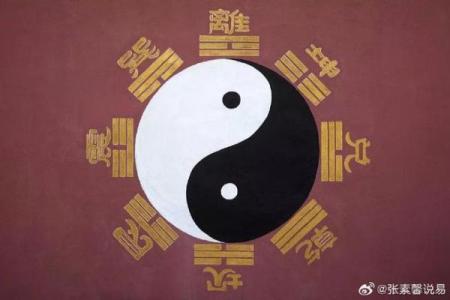 八字中坐