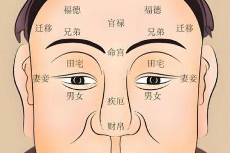 脸上胎记算命图解