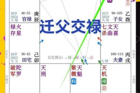 紫微斗数诸星落诸宫之：太阴星迁移宫详解