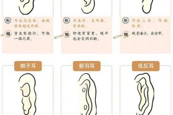 耳相算命图解，如何从耳相看人的命运