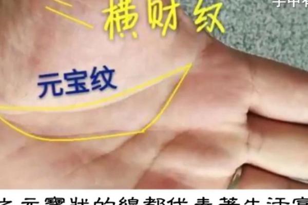 免费拍照看手相算命