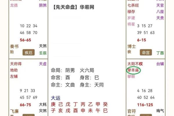 紫薇斗数陆
