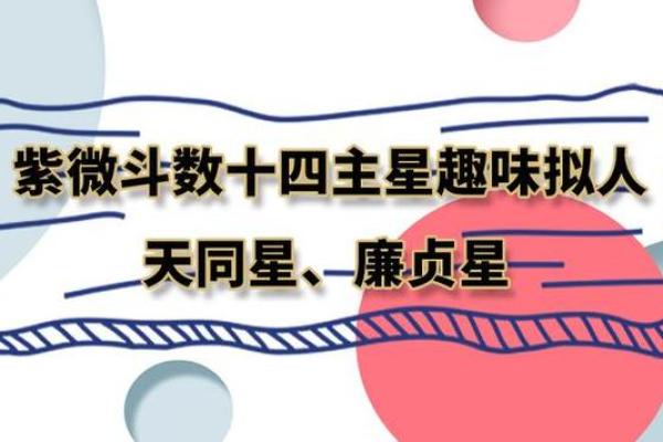 紫薇斗数与名字