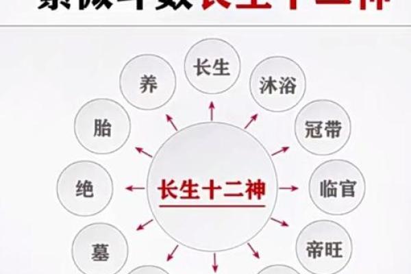 紫薇斗数文书位
