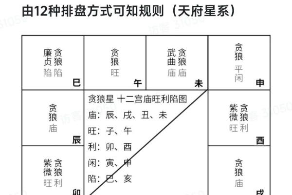 紫微斗数之财帛宫与诸星，贪狼星在财帛宫是什么意思？