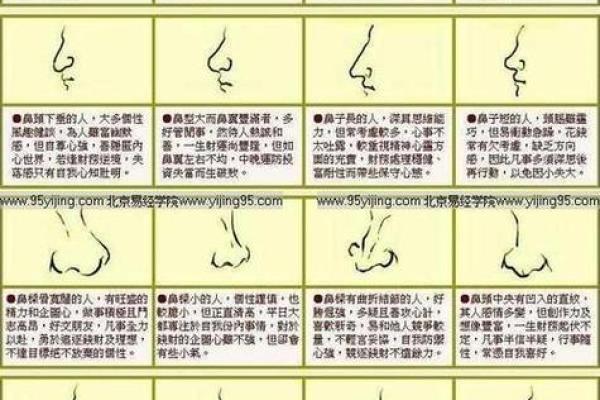看鼻子面相算命大全