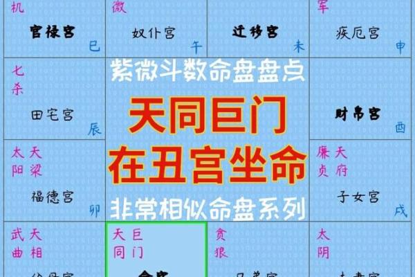 紫微斗数之兄弟宫与诸星,天同星在兄弟宫是什么意思？