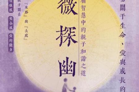 紫薇斗数拼音