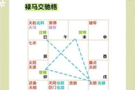 紫薇斗数看胖瘦