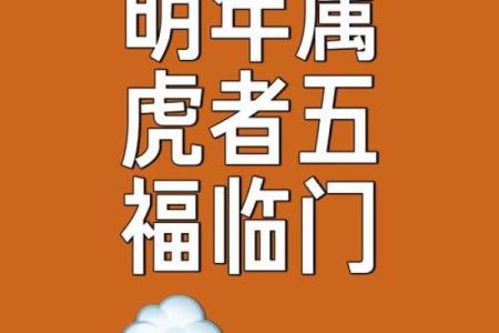 属虎八字