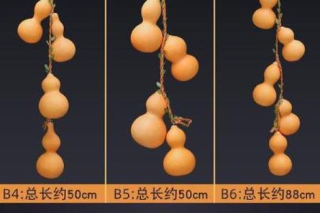 风水用品类别与使用方式