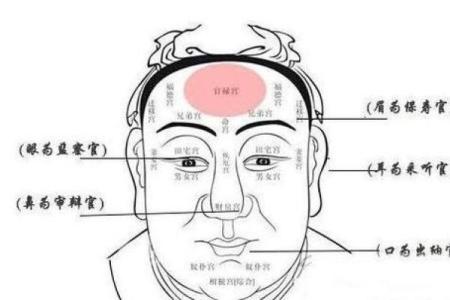 面相算命，让你分钟看透一个人