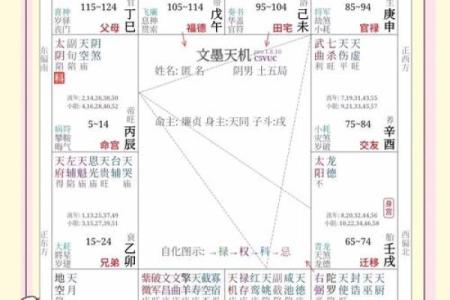 紫微斗数诸星落诸宫之，武曲星：阴金疾厄宫详解