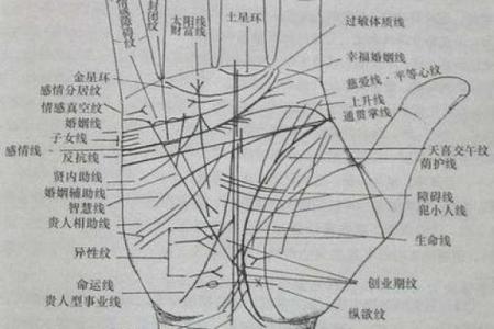 免费扫一扫看手相算命,扫一扫看手相算命