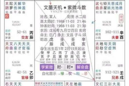 紫薇斗数看样貌