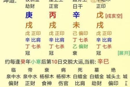 辛丑日出生富贵八字