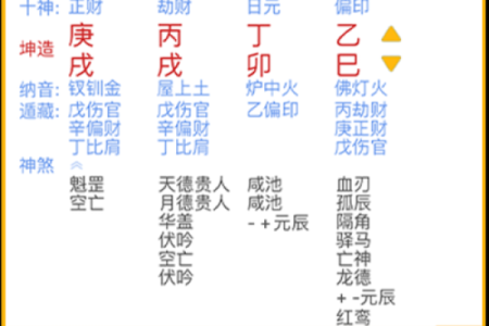 国际八字排盘