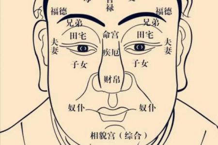紫薇斗数武曲化科坐命辰宫