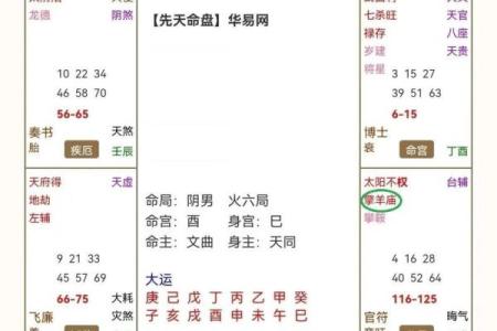 紫薇斗数陆