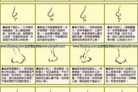 看鼻子面相算命大全