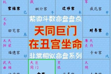 紫微斗数之兄弟宫与诸星,天同星在兄弟宫是什么意思？