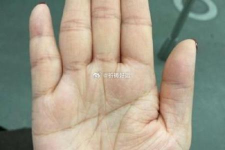 手相假断掌算命图解