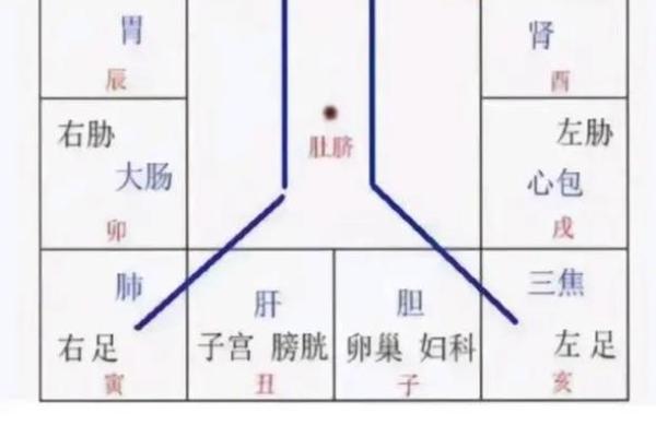 紫微斗数天马星之十二宫释义