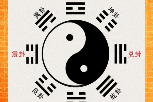 八字金多